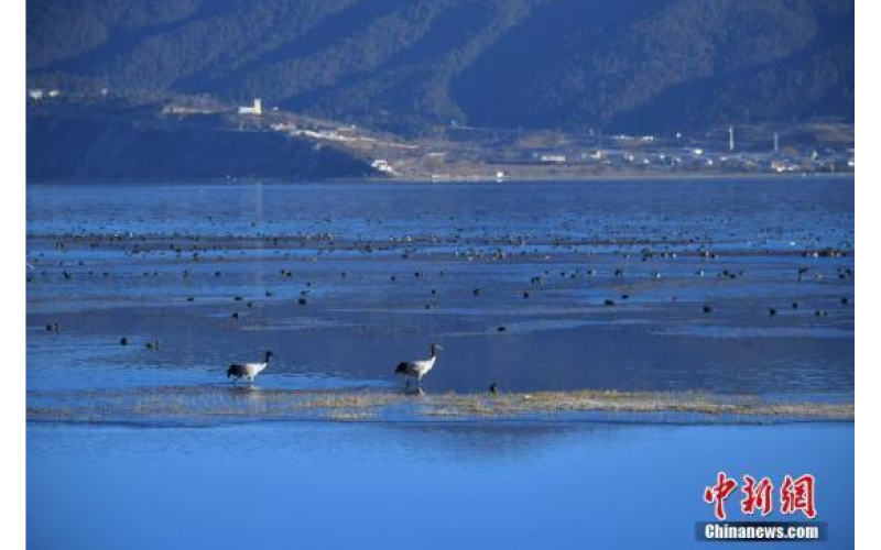 發(fā)改委要求：分階段研究提出美麗中國建設(shè)預期目標